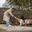 ksenia-animals.ru favicon